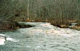 �.�������