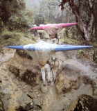 фото Ник.Палео