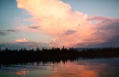 ����� �� ��������